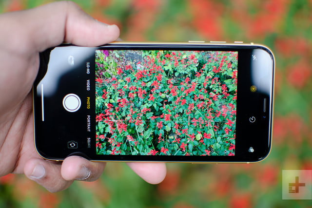iphone xr review camera